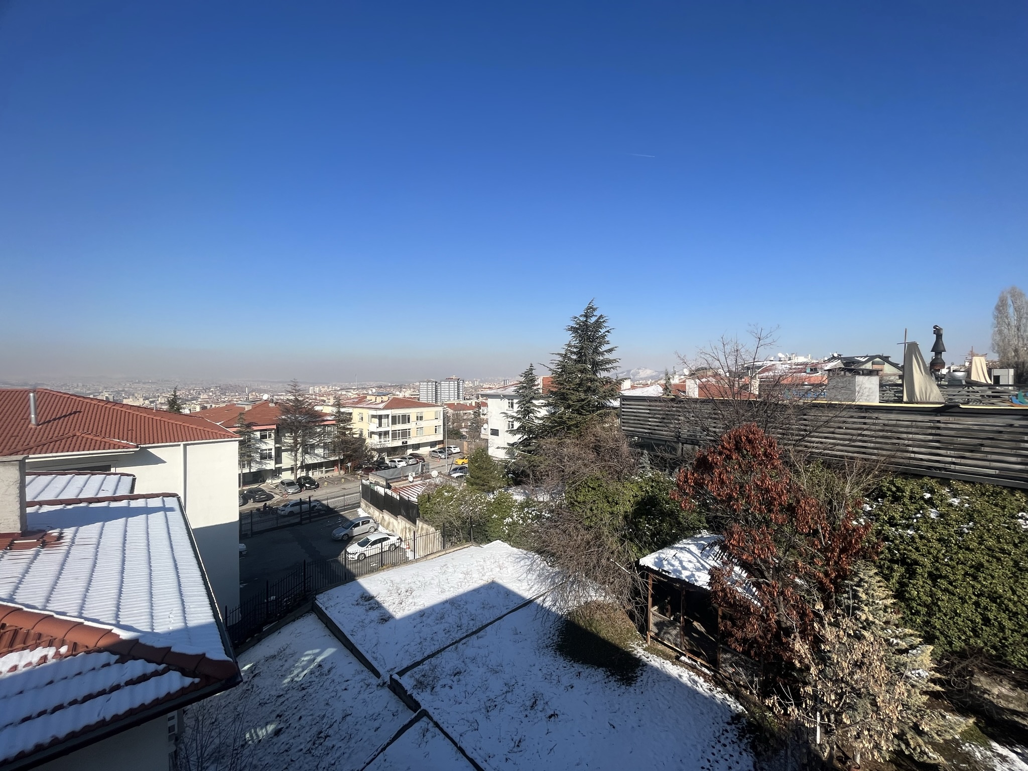 IMG_0528.JPEG